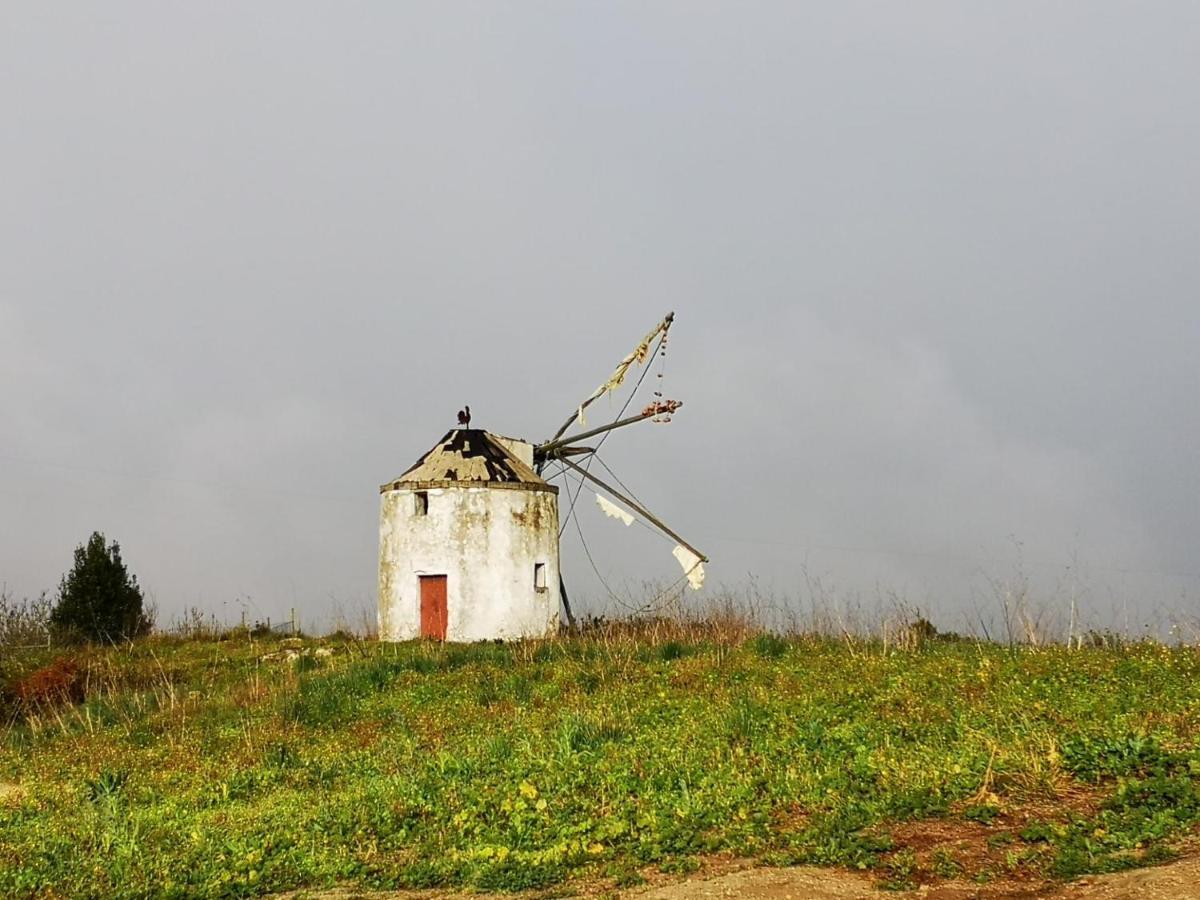 Feather House São Bartolomeu Zewnętrze zdjęcie